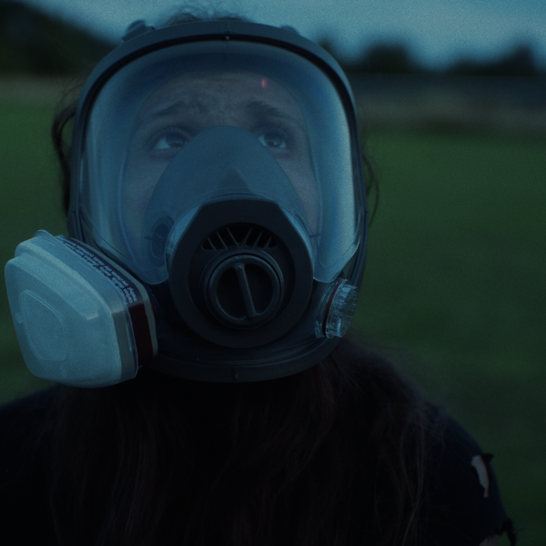 Revue Dances With Films 2026 : LITTERMATES, quand la sécurité n'est pas suffisante